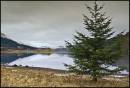 DSC00627.jpg