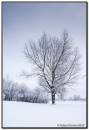 DSC01245.jpg