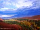 DSC01599.JPG