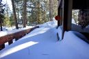 DSC02235.jpg