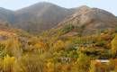 DSC03184.JPG