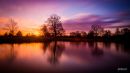 DSC05280.jpg
