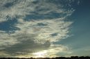 DSC05397dppprs.JPG