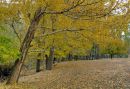 DSC09840c.jpg