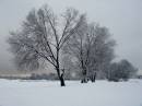 DSC09972a.jpg
