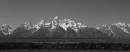 DSC2801nxadj_b_w_2.jpg
