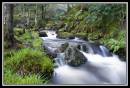 DSC47741.jpg