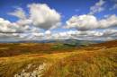 DSC5886Towards_Autumn_804_x_534_.jpg