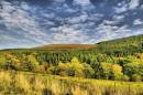 DSC6305Parc_Cwm_Darran_804_x_534_.jpg