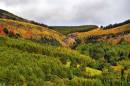 DSC6776Blaen-Y-Cwm_804_x_534_.jpg