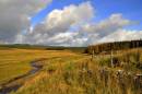 DSC7287Pont-Yr-Wysg3_804_x_534_.jpg