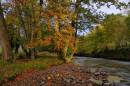 DSC7607Golden_Grove_804_x_534_.jpg