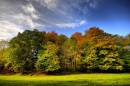 DSC7612Golden_Grove2_804_x_534_.jpg