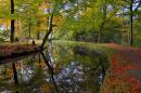DSC7730Autumn_Canal2.jpg