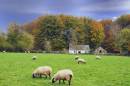 DSC8106St_Fagans_766_x_509_.jpg