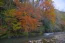 DSC8138Parc_Coetir_Bargod2_804_x_534_.jpg