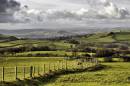 DSC8363The_Fenceline_804_x_534_.jpg