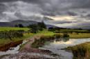 DSC8581Muddy_Lane_804_x_534_.jpg