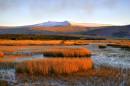 DSC8748Moorland_Sunset.jpg