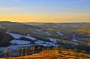 DSC8828Frostglow_804_x_534_.jpg