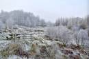 DSC9394Winterscene.jpg