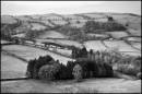 DSC9857Fields_812_x_542_.jpg