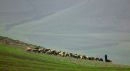 DSCF00588.jpg