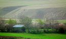 DSCF00766.jpg