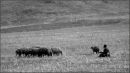 DSCF00855.jpg