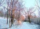 DSCF0221_900_x_675_.jpg