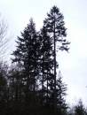 DSCF0976.jpg