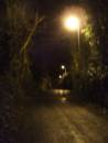 DSCF1090.jpg