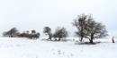 DSCF1473M2a_1024_x_512_.jpg