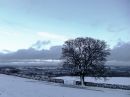DSCF2697M_1020_x_765_.jpg