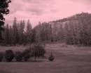 DSCN0131-2.jpg