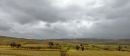 DSCN0656ab.jpg