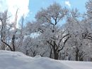DSCN2137a.jpg