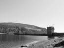 DSCN39501.JPG