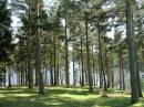 DSCN3981.jpg