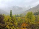 DSCN8157b.jpg