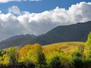 DSCN8920b1.jpg
