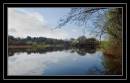 DSC_0003-Edit1.jpg