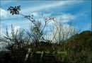 DSC_00651.jpg