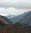 DSC_0073.jpg