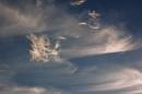 DSC_0087a.jpg