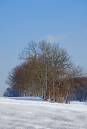 DSC_0112.JPG