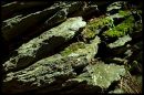 DSC_01201.jpg