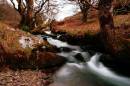 DSC_0127_waterfall_1_adobed_Medium_.jpg