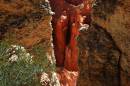 DSC_0237nxadjPsweb900.jpg