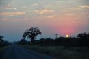 DSC_0337.JPG